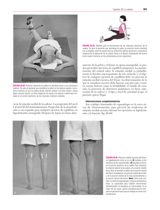 Ejercicio terapeutico recuperacion funcional