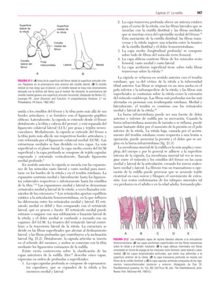 Ejercicio terapeutico recuperacion funcional