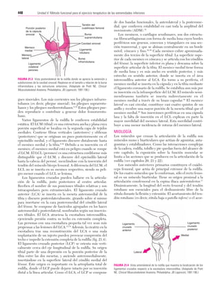 Ejercicio terapeutico recuperacion funcional