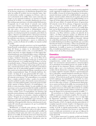 Ejercicio terapeutico recuperacion funcional