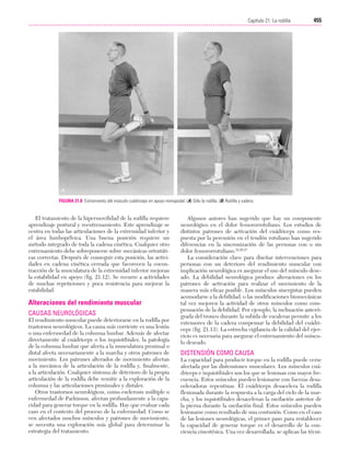 Ejercicio terapeutico recuperacion funcional