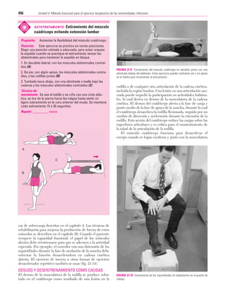 Ejercicio terapeutico recuperacion funcional