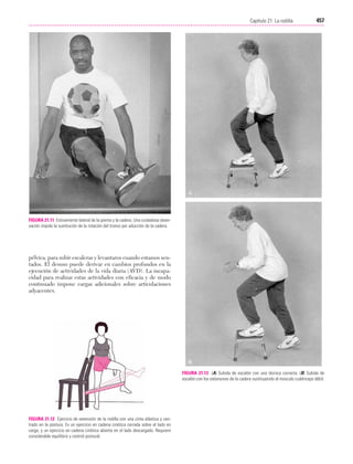 Ejercicio terapeutico recuperacion funcional