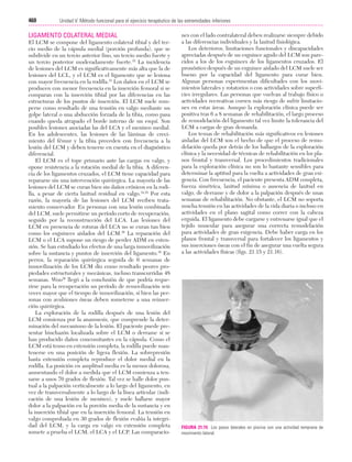 Ejercicio terapeutico recuperacion funcional