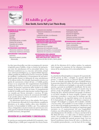 Ejercicio terapeutico recuperacion funcional