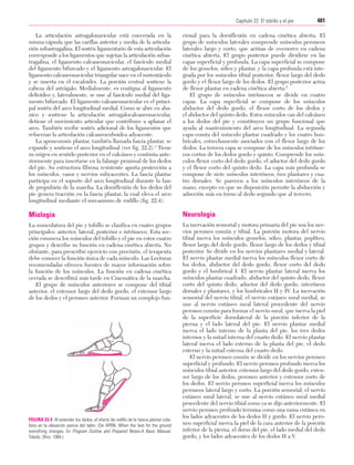 Ejercicio terapeutico recuperacion funcional