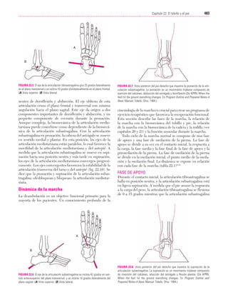 Ejercicio terapeutico recuperacion funcional
