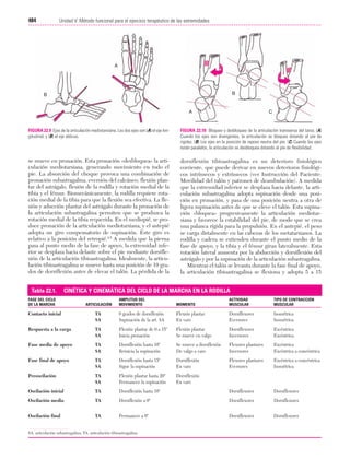 Ejercicio terapeutico recuperacion funcional