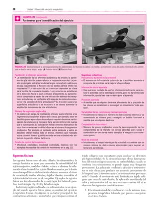 Cap. 02

23/3/06

20:41

Página 28

28

Unidad I: Bases del ejercicio terapéutico
...................................................................................................................................................
CUADRO 2.13 (continuación)

Parámetros para la modificación del ejercicio

FIGURA 2.14 Deslizamiento de la pierna para ejercitar los abdominales. Se flexionan la cadera y la rodilla y se mantienen cerca del pecho mientras la otra extremidad se desliza hacia abajo y atrás. (A) Posición inicial. (B) Posición final.

Facilitación o inhibición sensoriales
• La estimulación de los aferentes cutáneos y de presión, la aproximación y la tracción pueden alterar la respuesta muscular. La presión prolongada sobre los tendones largos como el del cuádriceps,
bíceps, isquiotibiales o flexores de los dedos parece inhibir las
respuestas.49 La ubicación de los contactos manuales es clave
para facilitar la respuesta deseada. Los contactos se establecen
en la dirección hacia la cual se mueve el segmento. La aproximación o compresión a través de una articulación estimula los receptores articulares y tal vez facilite el trabajo de los músculos extensores y la estabilidad de la articulación.50 La tracción separa las
superficies articulares y se incorpora si se desea aumentar la
amplitud de movimiento de una articulación.

Cognitivos y afectivos
Frecuencia y duración de la actividad
• El aumento de la frecuencia y duración de la actividad aumenta el
programa de prácticas para mejorar el aprendizaje.

Número de segmentos implicados
• En posturas en carga, la implicación articular suele referirse a los
segmentos que soportan el peso del cuerpo; por ejemplo, estar en
decúbito prono apoyado en los codos no requiere la misma participación de antebrazos y manos ni de la porción inferior del cuerpo
que la cuadrupedia. La colocación de los contactos manuales o de
otras fuerzas externas también influye en el número de segmentos
implicados. Por ejemplo, el contacto sobre escápula y pelvis en
decúbito lateral implica todo el tronco, mientras que realizado
sobre columna lumbar y pelvis redunda en una actividad más aislada de la porción inferior del tronco.

Variabilidad de las condiciones medioambientales
• Inicialmente se reduce el número de distracciones externas y va
aumentando su número para conseguir un ámbito funcional a
medida que se adquiera destreza.

Estadio de control del movimiento
• Movilidad, estabilidad, movilidad controlada, destreza (ver los
ejemplos de estadios de control del movimiento en la pág. 22).

Agentes físicos
Los agentes físicos como el calor, el hielo, los ultrasonidos y la
energía lumínica se usan para aumentar la extensibilidad del
tejido conjuntivo, modular el dolor, reducir o eliminar la inflamación o hinchazón de los tejidos blandos causadas por la lesión
musculoesquelética o disfunción circulatoria, aumentar el ritmo
de curación de heridas abiertas y tejidos blandos, remodelar el
tejido cicatrizal o curar las dermopatías. Ejemplos de agentes
físicos son los ultrasonidos, la termoterapia, los baños de parafina, la crioterapia (fig. 2.15) y la hidroterapia.
La termoterapia combinada con estiramientos es un ejemplo del uso de agentes físicos como un auxiliar del ejercicio
terapéutico. Como el colágeno es un factor principal de las
contracturas articulares, los métodos que elongan o estiran el

Información inicial aportada
• Hay que tener cuidado de aportar información suficiente para realizar la actividad con la estrategia correcta, pero no dar demasiada
información, que tal vez sea excesiva para el aprendiz.
Precisión aportada
• A medida que se adquiera destreza, el aumento de la precisión de
las claves se encaminará a conseguir un movimiento "más ajustado".

Complejidad de la actividad
• Número de pasos implicados; como la descomposición de los
componentes de la marcha en tareas sencillas para luego ir
sumándolas en una tarea motriz compleja e integrada con numerosos pasos.
Nivel de ansiedad
• Inicialmente, el mayor interés por la actividad se combina con un
número mínimo de distracciones emocionales para mejorar un
temprano aprendizaje.

tejido colágeno son importantes para cambiar un deterioro
por hipomovilidad. Se ha demostrado que elevar la temperatura del tejido colágeno aumenta su extensibilidad; cuando se
combina con estiramientos, se puede lograr una elongación
permanente. La aplicación combinada de calor y estiramientos es más eficaz para producir un aumento permanente de
la longitud que la termoterapia o los estiramientos por separado.51 Cuando el movimiento está limitado por tejido colágeno que cruza la articulación, la aplicación combinada del
calor y estiramientos tal vez sea una intervención útil si se
observan las siguientes consideraciones:
• El estiramiento debe combinarse con la máxima temperatura terapéutica tolerada que pueda conseguirse
en el área tratada.

 