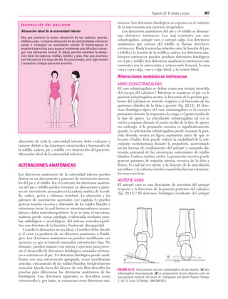 Ejercicio terapeutico recuperacion funcional