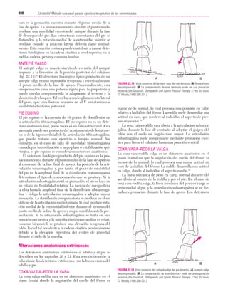 Ejercicio terapeutico recuperacion funcional
