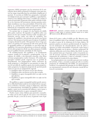 Ejercicio terapeutico recuperacion funcional
