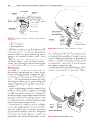 Ejercicio terapeutico recuperacion funcional