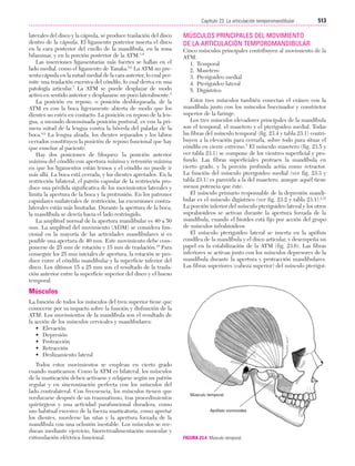 Ejercicio terapeutico recuperacion funcional