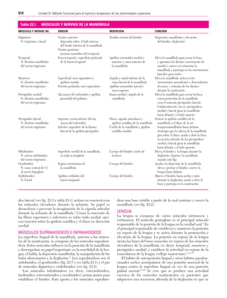 Ejercicio terapeutico recuperacion funcional