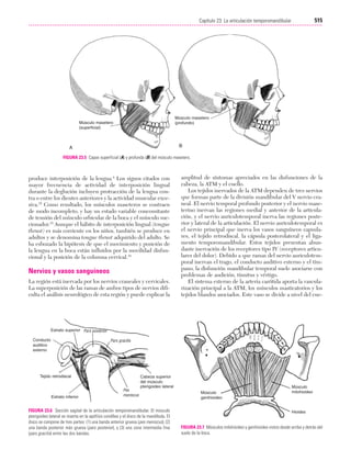 Ejercicio terapeutico recuperacion funcional