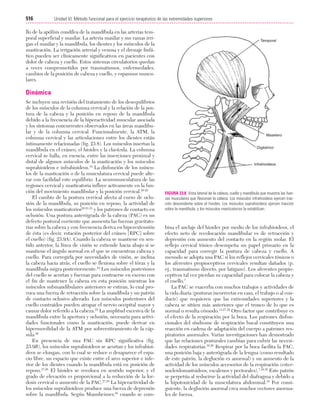 Ejercicio terapeutico recuperacion funcional