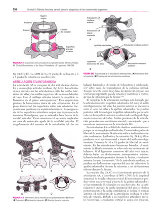 Ejercicio terapeutico recuperacion funcional