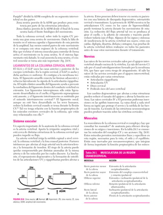 Ejercicio terapeutico recuperacion funcional