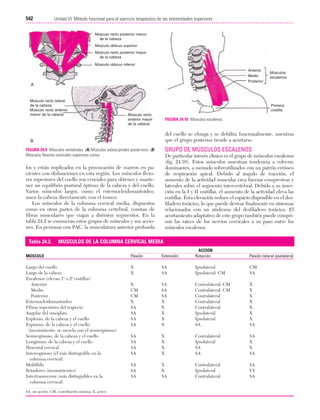 Ejercicio terapeutico recuperacion funcional