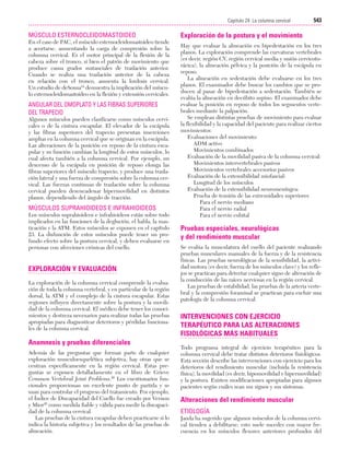 Ejercicio terapeutico recuperacion funcional