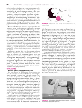 Ejercicio terapeutico recuperacion funcional