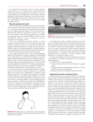 Ejercicio terapeutico recuperacion funcional