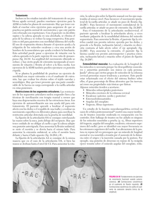 Ejercicio terapeutico recuperacion funcional