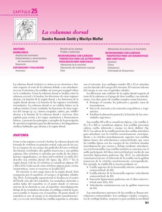 Ejercicio terapeutico recuperacion funcional