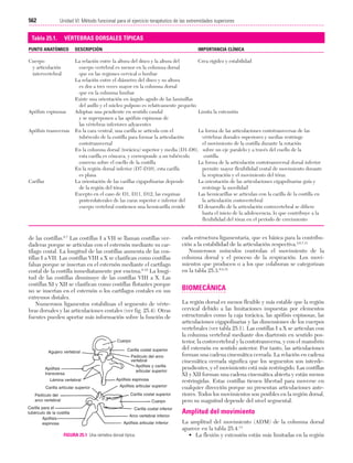 Ejercicio terapeutico recuperacion funcional
