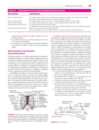 Ejercicio terapeutico recuperacion funcional