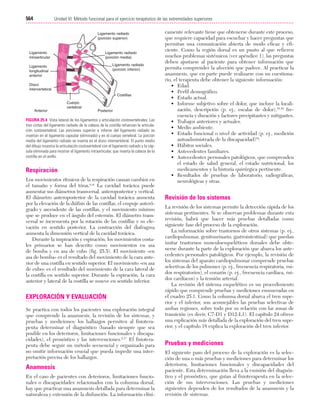 Ejercicio terapeutico recuperacion funcional