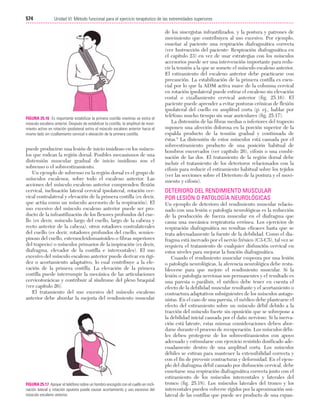 Ejercicio terapeutico recuperacion funcional