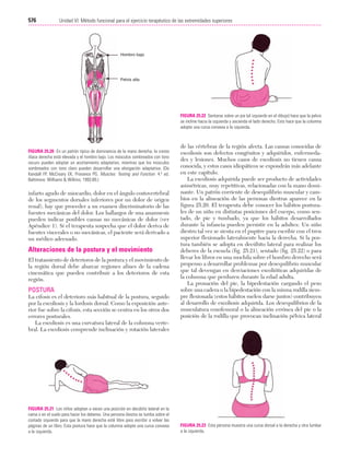 Ejercicio terapeutico recuperacion funcional