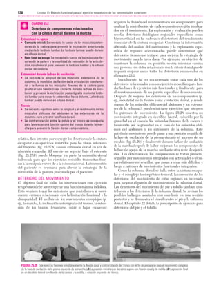 Ejercicio terapeutico recuperacion funcional