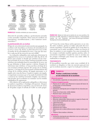 Ejercicio terapeutico recuperacion funcional