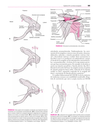 Ejercicio terapeutico recuperacion funcional