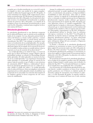 Ejercicio terapeutico recuperacion funcional