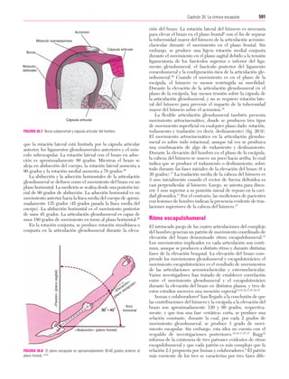 Ejercicio terapeutico recuperacion funcional