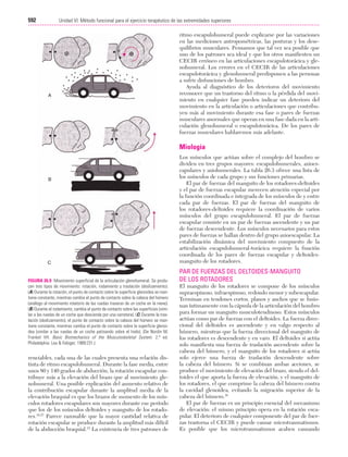 Ejercicio terapeutico recuperacion funcional