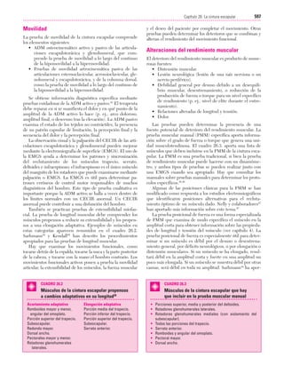 Ejercicio terapeutico recuperacion funcional