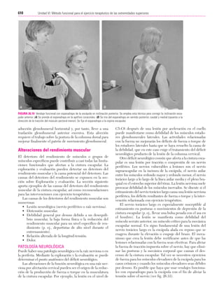 Ejercicio terapeutico recuperacion funcional