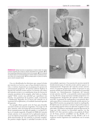 Ejercicio terapeutico recuperacion funcional