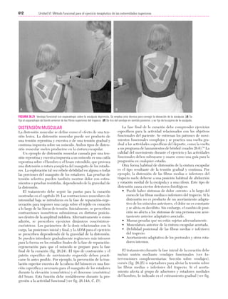 Ejercicio terapeutico recuperacion funcional