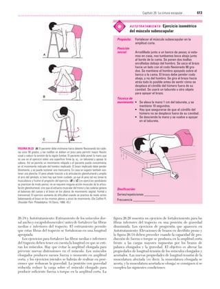 Ejercicio terapeutico recuperacion funcional