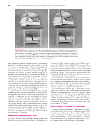 Ejercicio terapeutico recuperacion funcional