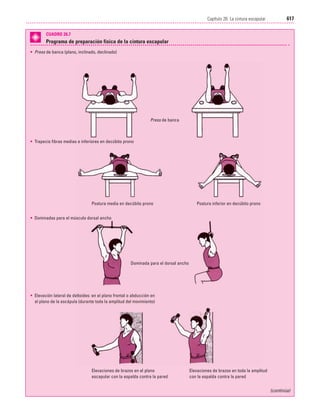 Ejercicio terapeutico recuperacion funcional