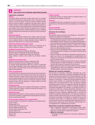 Ejercicio terapeutico recuperacion funcional