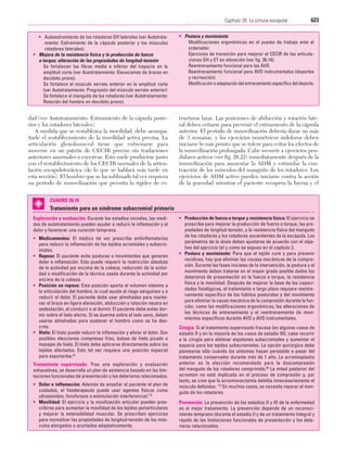 Ejercicio terapeutico recuperacion funcional