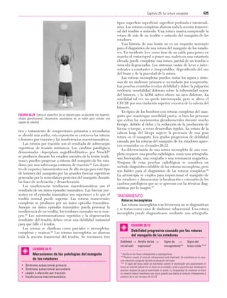 Ejercicio terapeutico recuperacion funcional